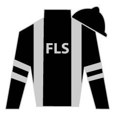 Image of FLS silks